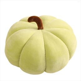 Pillow Small Pumpkin Minimalist Ultra Soft & Comfy For Family And Friends To Use