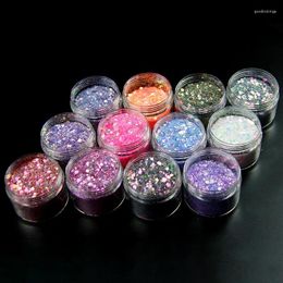 Nail Glitter 120G 12 Bottle Craft Powder Super Bling Resin Sequins For Crafts Slime Art Paint