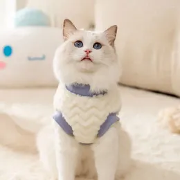 Cat Costumes Kitten Clothes Clothing Two Feet Pet Cats Keep Warm In Autumn Winter Plush Pullover Accessories Dog