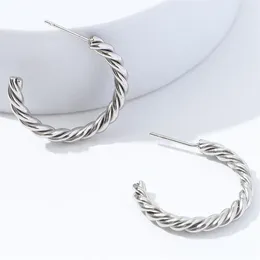 Hoop Earrings Vintage Punk Exquisite Circle C Shape For Women Girl Party Stainless Steel Jewellery E189