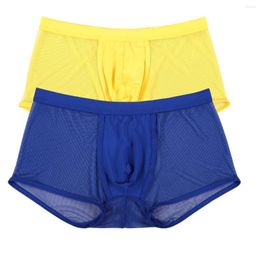 Underpants 2PCS/Lot Man Underwear Mesh Boxer Transparent Sexy Ultra-Thin Jockstrap Male Low Waist Mens Panties Boxershorts