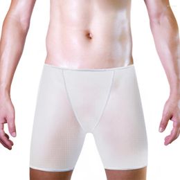 Underpants Sexy Mesh Transparent Men's Panties Boxers Solid Black White Underwear Boxer Shorts And Lingerie Briefs