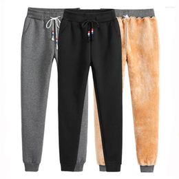 Women's Pants Autumn Winter Warm Women 2023 High Elastic Waist Cotton Trousers Black/Gray Plus Size Joggers Thick Fleece Lady Harem Pant