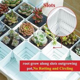 Meshpot 2 3 4 Inches Square Plastic Succulents Planter Pots With Tray Set Nursery Pot Cactus Plant Pot Garden Pot LJ2012222654