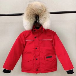 Kids Down Coat Goose Designer Jacket Baby Boy Girl Jackets Thick Warm Coats Fur Collar Children Parka Fashion Classic Winter Girls Clothing Hooded Long Parkas