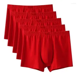 Underpants Men's Underwear Pure Cotton Flat Pants Head Shorts Four Corner Benmingnian Big Red Wedding Fat Guy