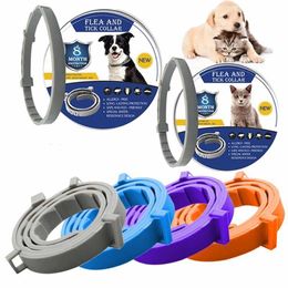 Dog Collars Leashes 8 Month Flea Tick Prevention Collar Perro for Cats Dog Harness Mosquitoes Repellent Collar Insect Mosquitoes Coleira 230422