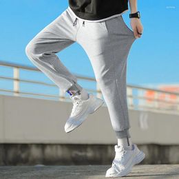 Men's Pants 2023 Autumn And Winter Fashion American Hundred Solid Colour Sports Casual Cotton Trend Nine-Minute Sweater