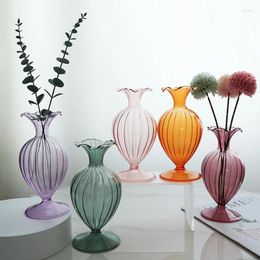 Vases 5Styles Half Transparent Big Belly Flower Art Hydroponic Bottle Vintage Glass Living Room Wedding Desktop Decoration