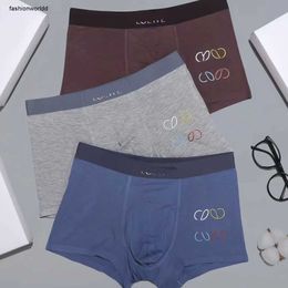 Designer men underwear, fashionable and sexy letter printed logo underwear, comfortable underwear, men clothing, three pairs in a box Nov22 11