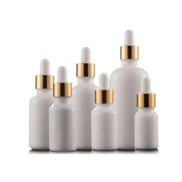 White Porcelain Essential Oil Perfume Bottles e Liquid Bottles Reagent Pipette Dropper Aromatherapy Bottle 5ml-100ml Wholesale free DHL Jsjl