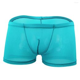 Underpants Sexy Ultra-thin Men See-through Boxer Briefs Sheer Mesh Pouch Underwear Panties Lingerie Sleep Bottoms Boxershorts Male