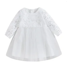 Girl Dresses Pudcoco Toddler Fall A-Line Dress Floral Embroidery Long Sleeve Round Neck Tulle Patchwork Princess 6M-4T