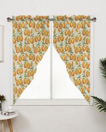 Curtain Plant Fruit Orange Window Treatments Curtains For Living Room Bedroom Home Decor Triangular