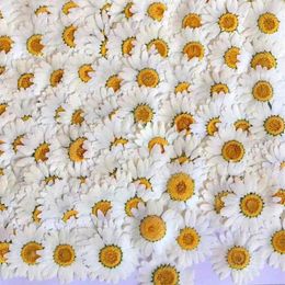 100Pcs White Daisy Dried Flowers Natural Pressed Flower for Resin Mobile Phone Case Pendant Bracelet Jewellery Decoration Material 2177l