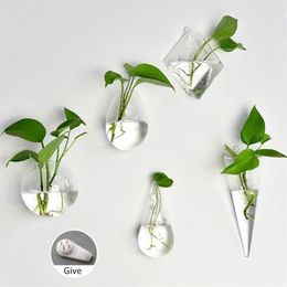 Vases 2pcs set Hanging Flower Pot Glass Ball Vase Terrarium Wall Fish Tank Aquarium Container Homw Decor226Y