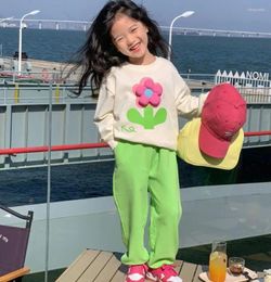 Clothing Sets Spring Autumn Baby Girls Cotton Lovely 3D Flowers Sweatshirt Green Sweatpant Kids Tracksuit Children Outfit Jogging 1-12Yrs