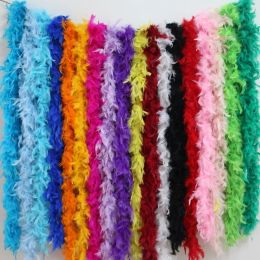 Chicken Feather Strip Colour Turkey Feather Boa for Wedding Birthday Party Wedding Decorations Clothing ZZ