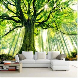 3d wallpaper custom mural non-woven Wall stickers tree forest setting wall is sunshine paintings po 3d wall mural wallpaper255g