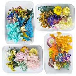 Decorative Flowers 4boxs Real Dried Flower Set Dry Hydrangeas Daisy For DIY Candle Epoxy Resin Craft Casting Mould Tools Jewellery Making