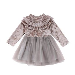 Girl Dresses 2023 Spring Princess Kids Baby Girls Dress Velvet Fleece Party Ruffle Tulle Tutu Size 2-6T