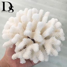 14-16cm 100% Natural Coral Sea White Coral Tree White Coral Aquarium Landscaping Home Furnishing Ornaments Home Decoration231C