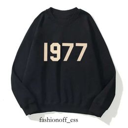 Men's Loose Tracksuits Luxury Sweatshirts Hoodie Designer Ess Sweatshirt Sportswear Hooded Jackets Men Women Round Neck Pullover Sweater 243 977 619