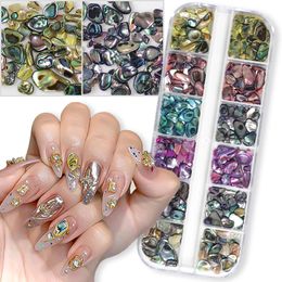 Nail Art Decorations 12 Grid Natural Abalone Decoration 3D Irregular Sliced Fragments Charm Ergonomic Accessories 231121