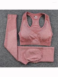 Active Sets Seamless Yoga Clothing Suit Peach Hip Trousers Sexy Gym Bra Vest Sports Female Fitness Clothes Two-piece Workout Set