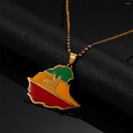 Pendant Necklaces Stainless Steel Ethiopian Flag Lion Map Necklace Women Men Trendy Ethiopia Chain Jewelry