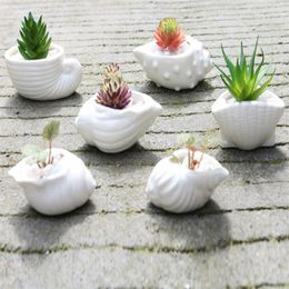 Mini Fleshy Flower Pot Thumb Pot White Shell Conch Ocean Succulent Flower Pot Ceramics 299q