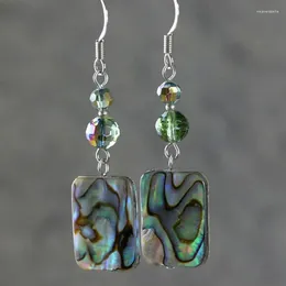 Dangle Earrings Simple Japanese And Korean Series Uses Acrylic Abalone Shell Color Exquisite Beautiful Women's Jewelry