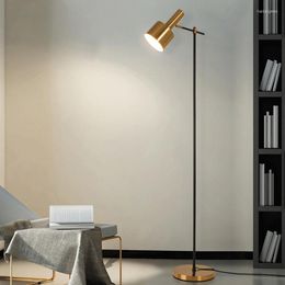 Floor Lamps Nordic Long Support Arm Designe Led For Living Room Bedroom Beside Lights E27 Night Stand Light Home Decoration