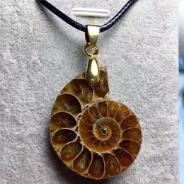 Pendant Necklaces 25mm 40mm 45mm Ammonite Pendants Necklace For Women Men Fossilised Shell Rock Collector & Gift