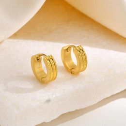 Hoop Earrings 4mm Matte Circle Women's Stainless Steel Huggie Hoops Statement Jewelry