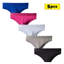Underpants 5PCS/Set Mens Underwear Fashion Modal Sexy Bikini Jockstrap Briefs Gay Pantines Shorts For Men