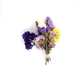 Decorative Flowers Mixed Colours Natural Dried Bouquet Do Not Forget Me For DIY Art Decorations Card Making Decoration Accessories 5g/Bag