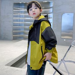 kids Boys' Sprint Coat Spring and Autumn 2023 New Big Boys' Autumn Windbreaker Colored Outdoor Top