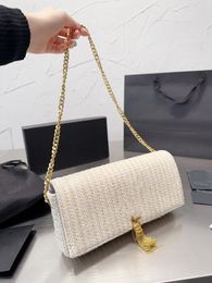 Classic Envelope Bag women crossbody messenger bags Fashion Shopping Satchels leather chain tassels hobo handbag Luxury designer purse wallet backpack briefcase