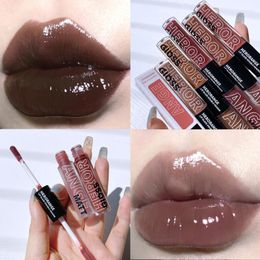 Lip Gloss 2 In 1 Punk Dark Brown 5Color Mirror Transparent Glass Glaze Chocolate Double Head Liquid Lipstick Tint Makeup