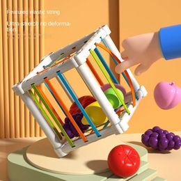 New Montessori Baby Toys 6 12 Months Children Educational Toys Baby Development Board Games Learning Sorter for Kids 1 Year Boy Gift