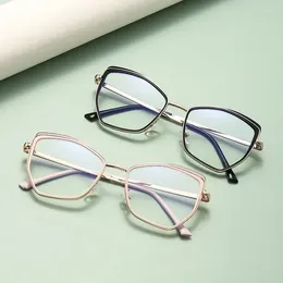 Sunglasses Cross Border Fashion Slings Protective Glasses TR Metal Anti-radiation Flat Light Mirror Net Red Face Small