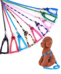 10120cm Dog Harness Leashes Nylon Printed Adjustable Pet Collar Puppy Cat Animals Accessories Pet Necklace Rope Tie7966995