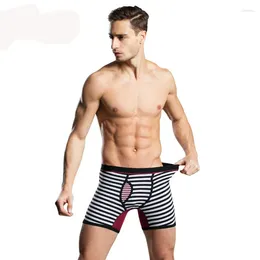 Underpants Men's Male Underwear Extra Long Boxers Shorts Cotton Stripe Cueca Boxer