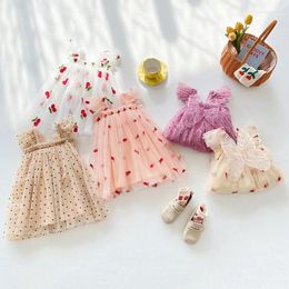 Girl Dresses Sweet Baby Birthday Party Dress Flower Embroidery Polka Dot Wing Princess Tulle Tutu Vestidos Toddler Wedding Clothes