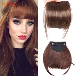 Bangs Synthetic Fake Blunt Hair Bangs 2Clips In Hair Extension Neat Front Fake Fringe False Hairpiece For Women Clip In Bangs 231123