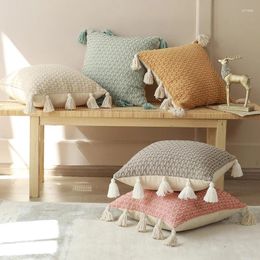 Pillow Kawaii Sofa Chair Living Room Nordic Pink Designs S Pillows Aesthetic Modern Tassel Almofadas Bohemian Home Decor