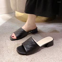 Slippers 2023 European American Summer Women's Shoes Chunky Heels Fashion Wear Flip-flops For Women Casual Plaid