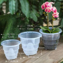 Vases Practical Mesh Pot Plastic Clear Orchid Flower Container Planter Home Gardening Decoration