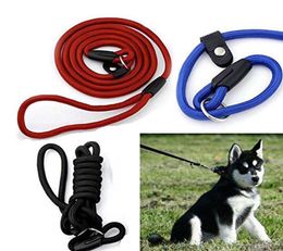 New Pet Dog Nylon Rope Training Leash Slip Lead Strap Adjustable Traction Collar Pet Animals Rope Supplies Accessories4754571